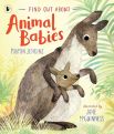 Find Out About... Animal Babies by Martin Jenkins